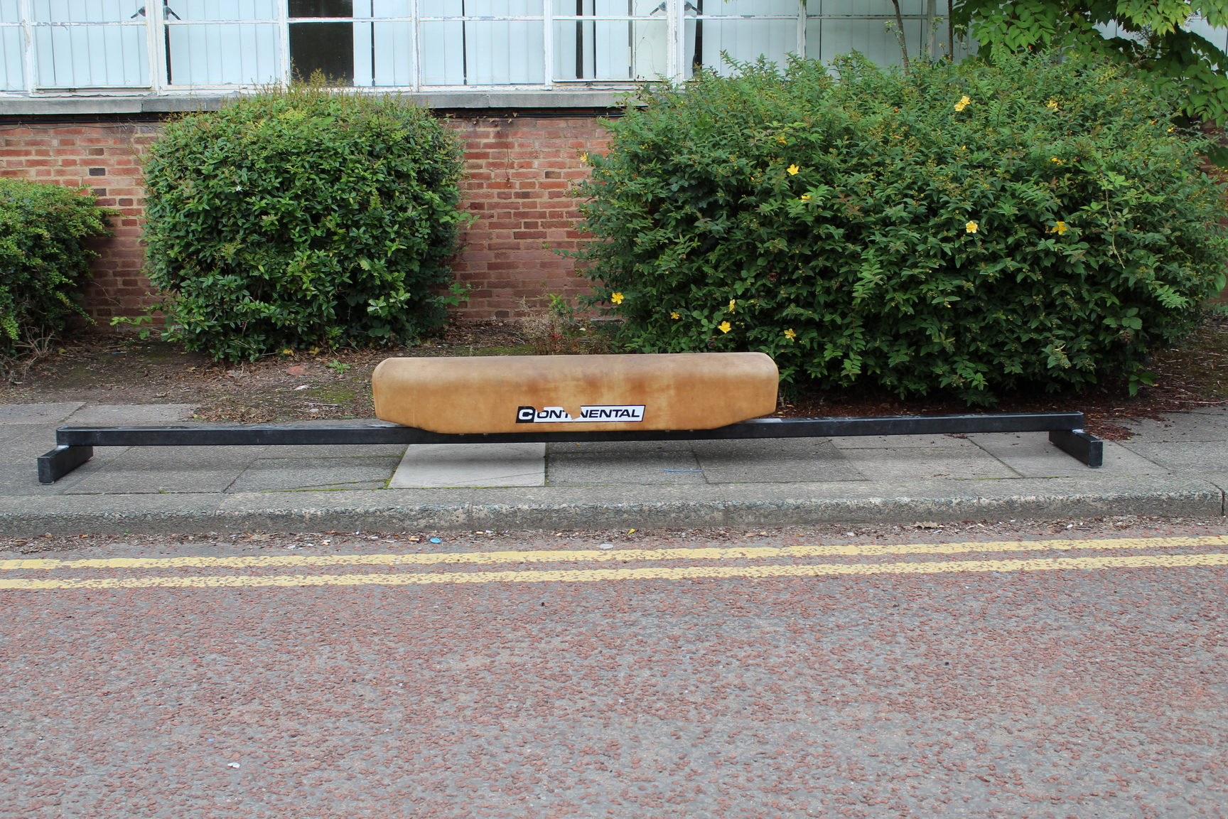 Image of Continental Sports Pommel Horse Professional Gymnastics Equipment