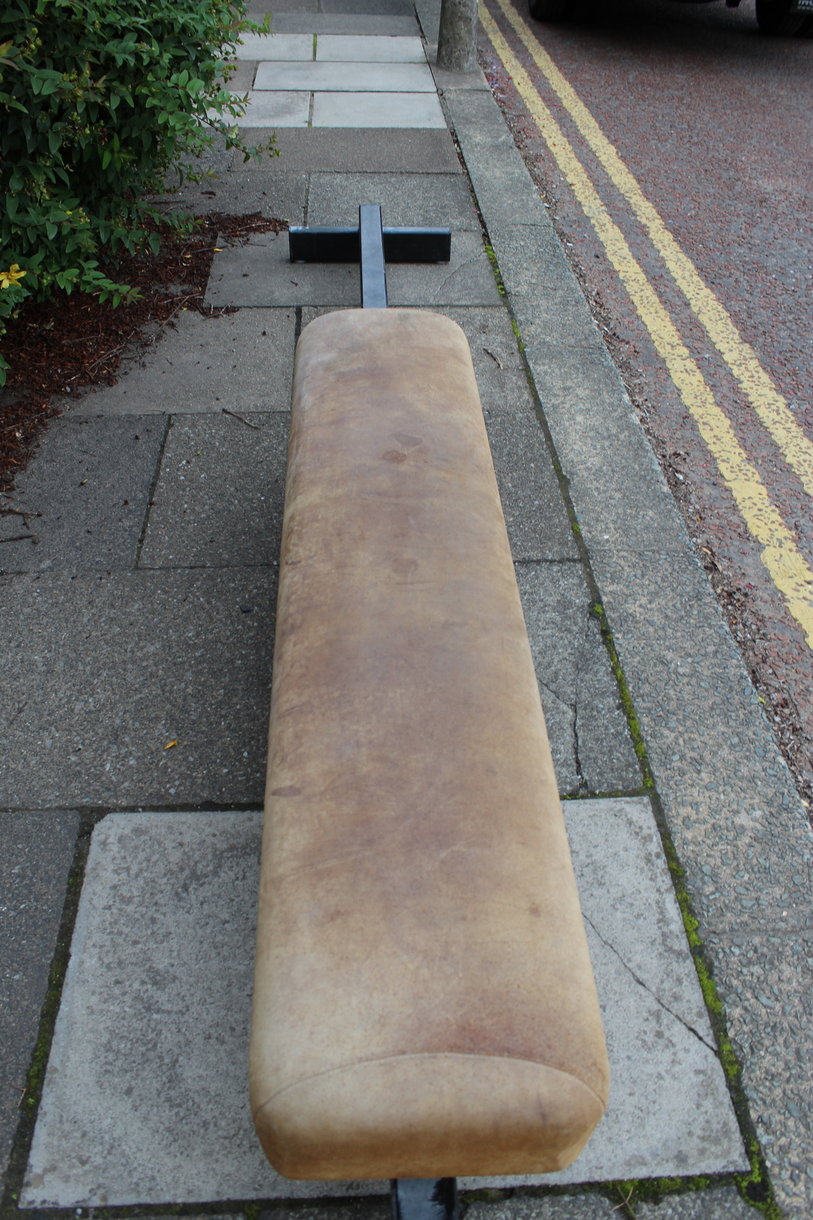 Image of Continental Sports Pommel Horse Professional Gymnastics Equipment