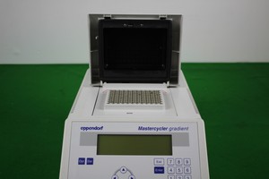 Thumbnail image of Eppendorf 5331 Gradient Mastercycler Thermocycler