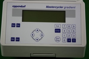 Thumbnail image of Eppendorf 5331 Gradient Mastercycler Thermocycler