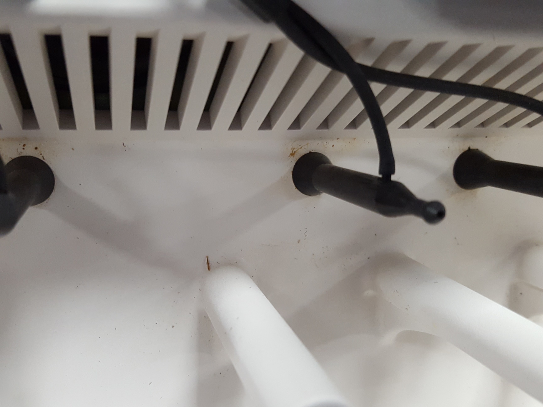 Image of Radiometer Copenhagen Blood Gas Analyser ABL-5