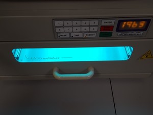 Image of item