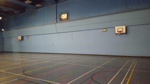 Thumbnail image of Pair of Heavy Duty Professional Basketball Hoops Backboard Wall Mounted Net