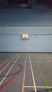 Thumbnail image of Pair of Heavy Duty Professional Basketball Hoops Backboard Wall Mounted Net