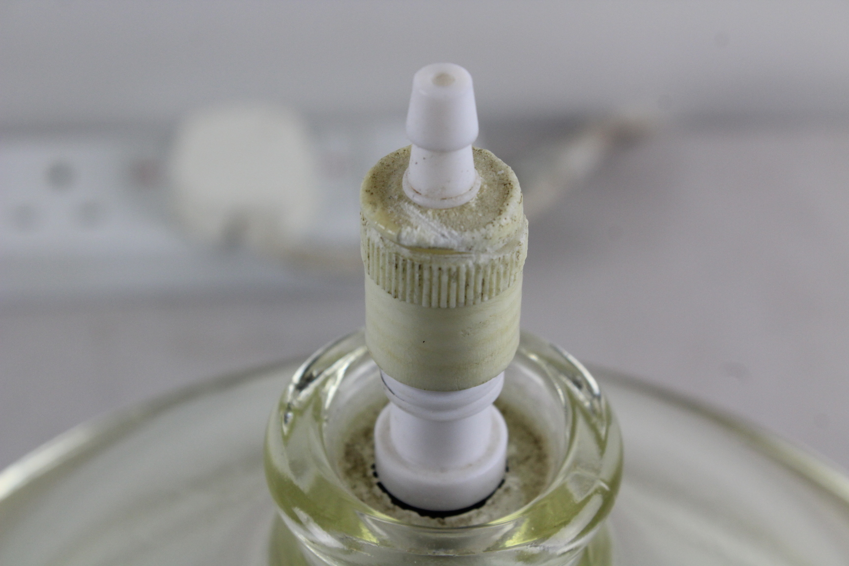 Image of Dry Seal Dessicator
