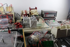 Thumbnail image of Job Lot Of Electrophoresis Lab Equipment **See Photos And Description**