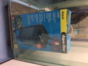 Thumbnail image of Glass Fish Tank Aquarium 72inch x 61inch x 61inch, 600Litres 10mm glass 