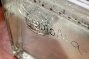 Thumbnail image of Lab Grant Water Circulator Heater