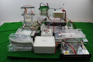 Thumbnail image of Job Lot Electrophoresis Lab Western Blotting Bio-rad Stratagene 20x20 Gel Tanks