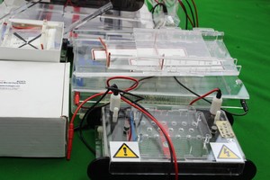 Thumbnail image of Job Lot Electrophoresis Lab Western Blotting Bio-rad Stratagene 20x20 Gel Tanks