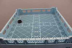 Thumbnail image of Hobart FXS-10A Dishwasher Glasswasher Inc Trays, Commercial Kitchen 