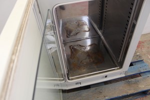 Thumbnail image of Spares/Repairs Sanyo CO2 Incubator MCO-17A Lab Laboratory Scientific CO2