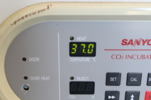 Thumbnail image of Sanyo CO2 Incubator MCO-17AIC 164L Capacity Tested 37C Lab Laboratory 230V 