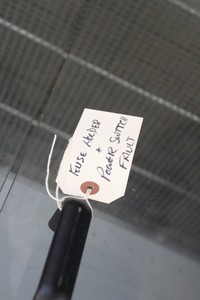 Thumbnail image of Faulty Unitemp Drying Cabinet Fuse Holder & Power Switch Fault Lab Laboratory 
