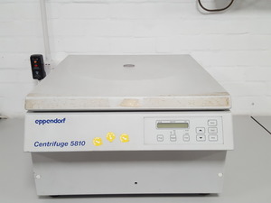 Image of item