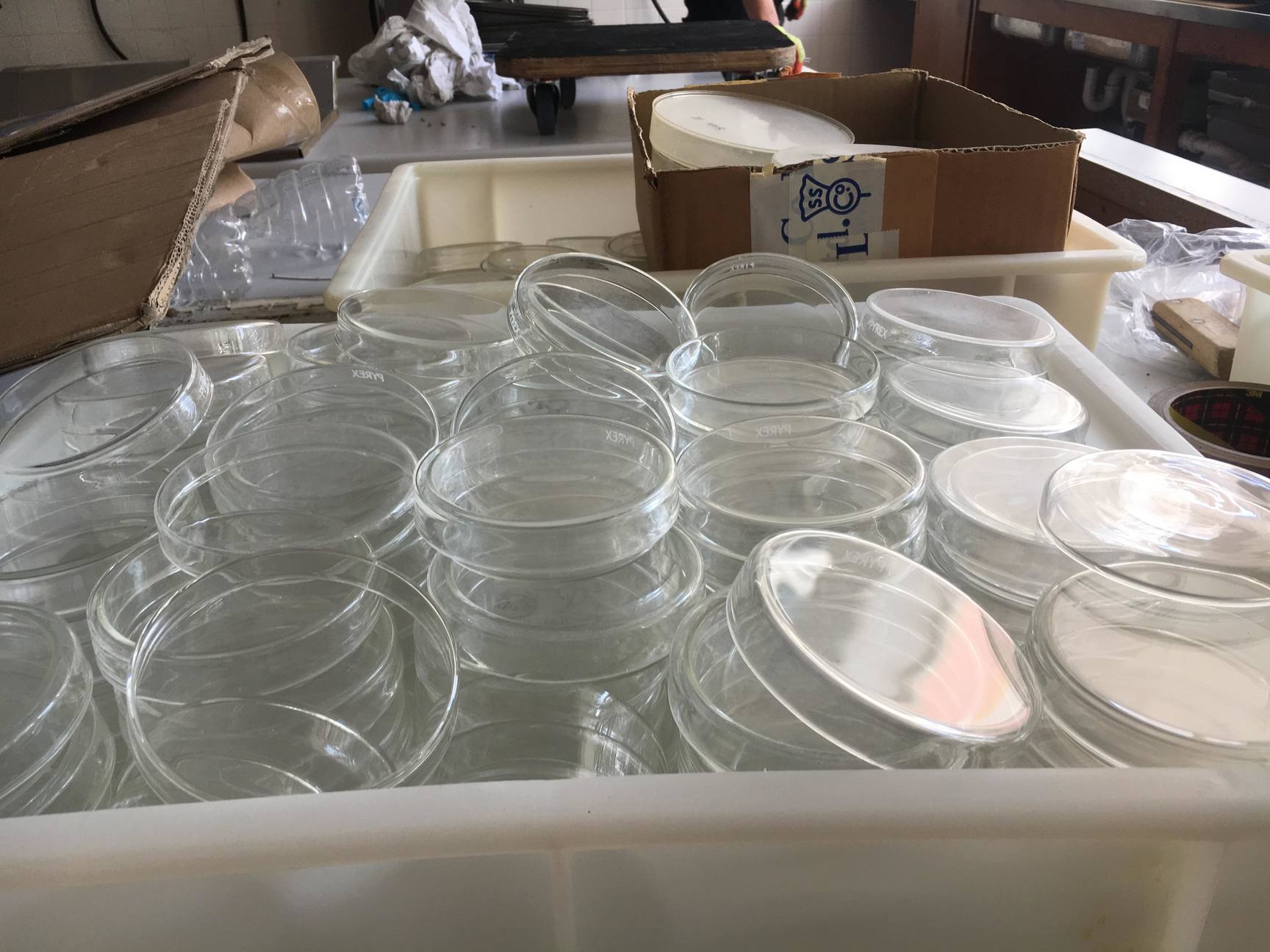 Image of Job Lot Of Laboratory Glassware Schools Labs Scientific Inc Pyrex Glass Beakers 