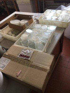 Thumbnail image of Job Lot Of Laboratory Glassware Schools Labs Scientific Inc Pyrex Glass Beakers 