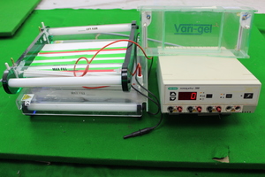 Thumbnail image of Bio-Rad Power Pac 300 4 Cell Electrophoresis Power Supply Lab Laboratory