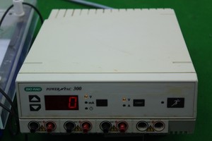Thumbnail image of Bio-Rad Power Pac 300 4 Cell Electrophoresis Power Supply Lab Laboratory