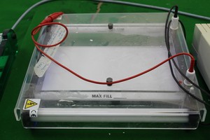 Thumbnail image of Bio-Rad Power Pac 300 4 Cell Electrophoresis Power Supply Lab Laboratory