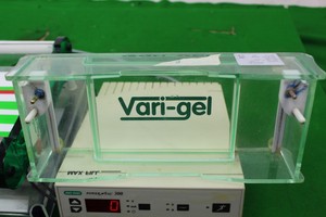 Thumbnail image of Bio-Rad Power Pac 300 4 Cell Electrophoresis Power Supply Lab Laboratory