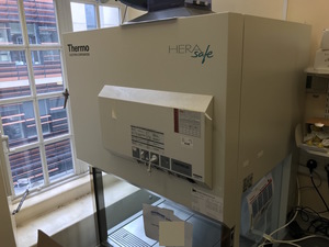Thumbnail image of Heraeus HS 9 CL-II, Microbiological Safety Cabinet Herasafe 