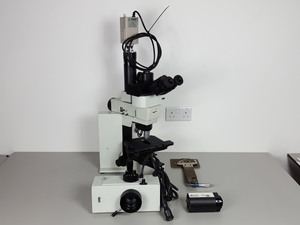 Image of item