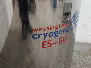 Image of item