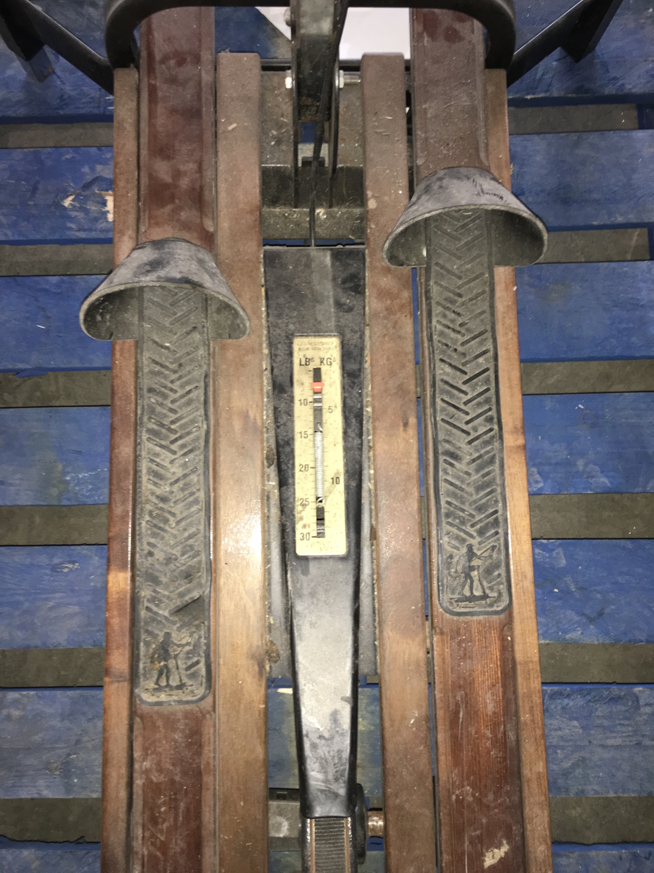 Image of Nordic ExerSkier Medalist Ski Machine Skiing Gym Fitness Sports Equipment