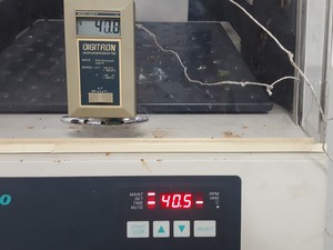 Image of item