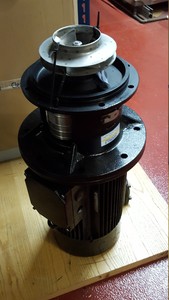 Image of item