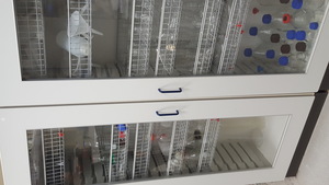 Thumbnail image of Lot of Multiple Flasks, Beakers, Funnels & Other Multiple Items