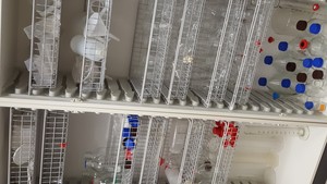 Thumbnail image of Lot of Multiple Flasks, Beakers, Funnels & Other Multiple Items