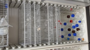 Thumbnail image of Lot of Multiple Flasks, Beakers, Funnels & Other Multiple Items