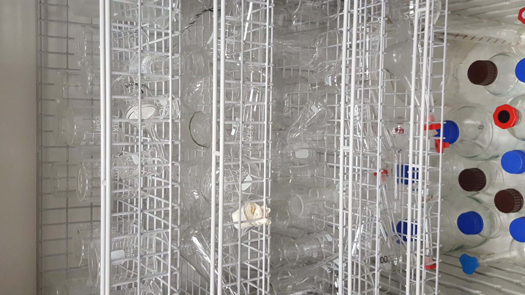 Image of Lot of Multiple Flasks, Beakers, Funnels & Other Multiple Items