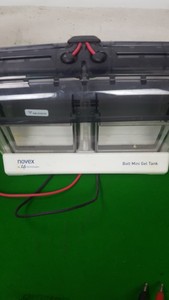 Thumbnail image of Bio-Rad Basic Power Supply Gel Electrophoresis System Mini Protrean