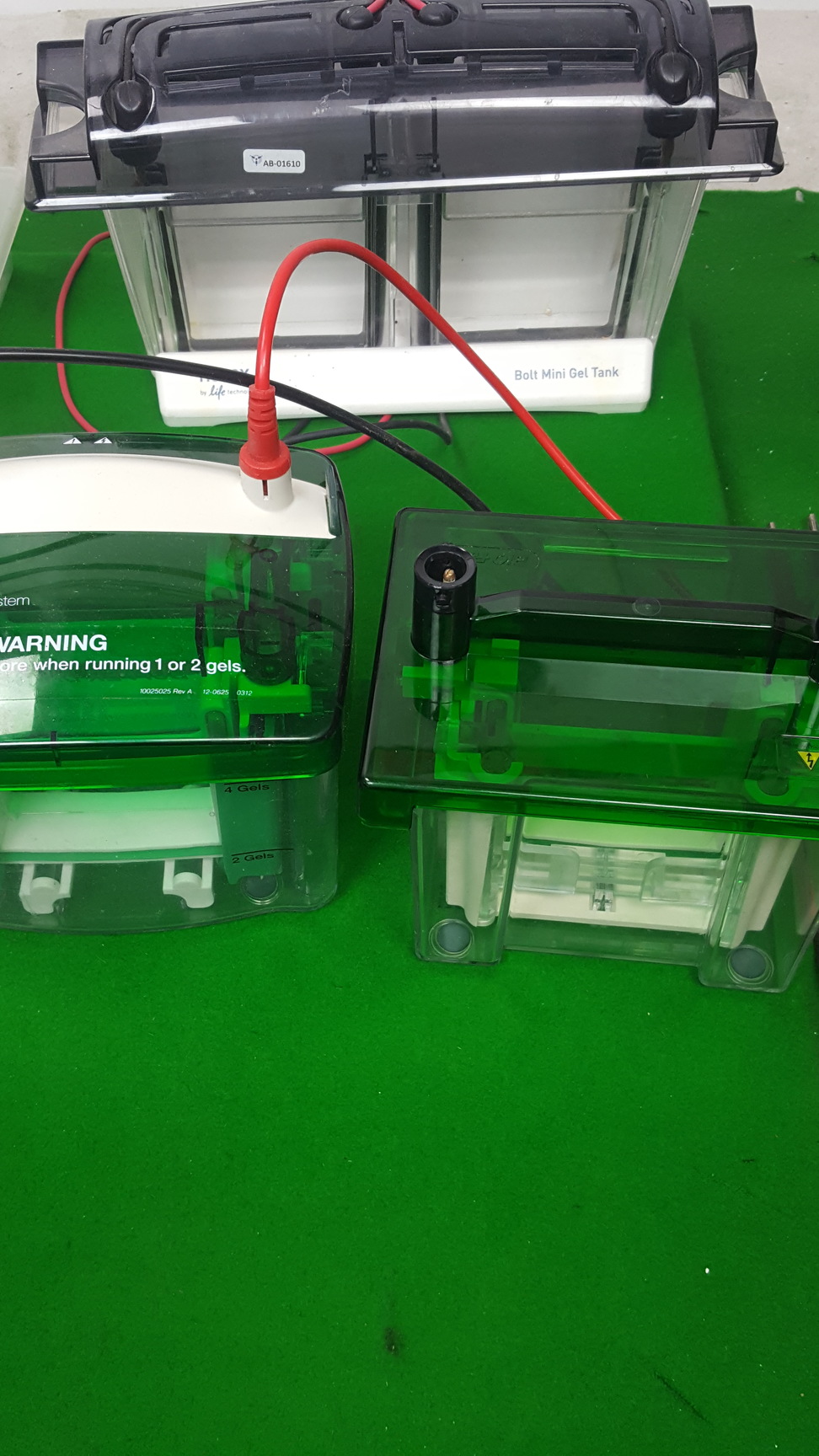 Image of Bio-Rad Basic Power Supply Gel Electrophoresis System Mini Protrean