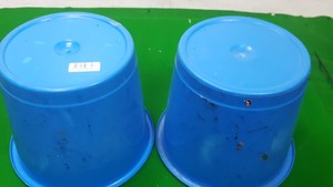 Thumbnail image of Lot of 25 Bins With Lids & 30x Buckets