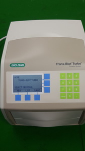 Thumbnail image of Bio-Rad Trans-Blot Turbo Transfer System 