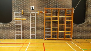 Thumbnail image of Continental Sports Wooden Wall Climbing Frame Sports PE Gymnastics Gym Ladder