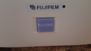 Thumbnail image of FUJIFILM FLA-7000 Fluorescent Image Anayzer 