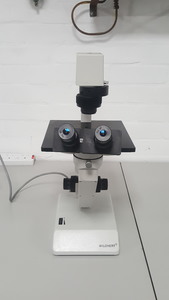 Image of item