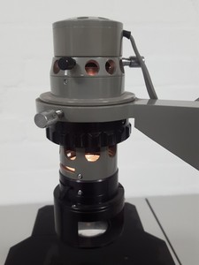 Image of item