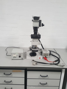 Image of item