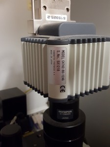 Thumbnail image of Ikoniscope 2000 Fluorescence Microscope System Olympus U-LH100HG, 