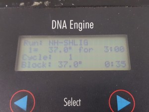 Thumbnail image of MJ Research PTC-200 Peltier Thermal Cycler PCR DNA Lab
