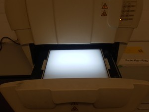 Thumbnail image of Bio-Rad Universal Hood Molecular Imager Gel Doc Chemidoc XRS+ Imaging System Lab