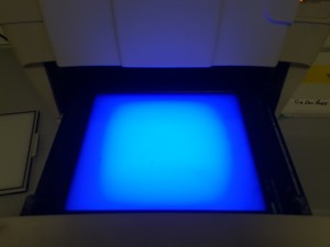 Thumbnail image of Bio-Rad Universal Hood Molecular Imager Gel Doc Chemidoc XRS+ Imaging System Lab