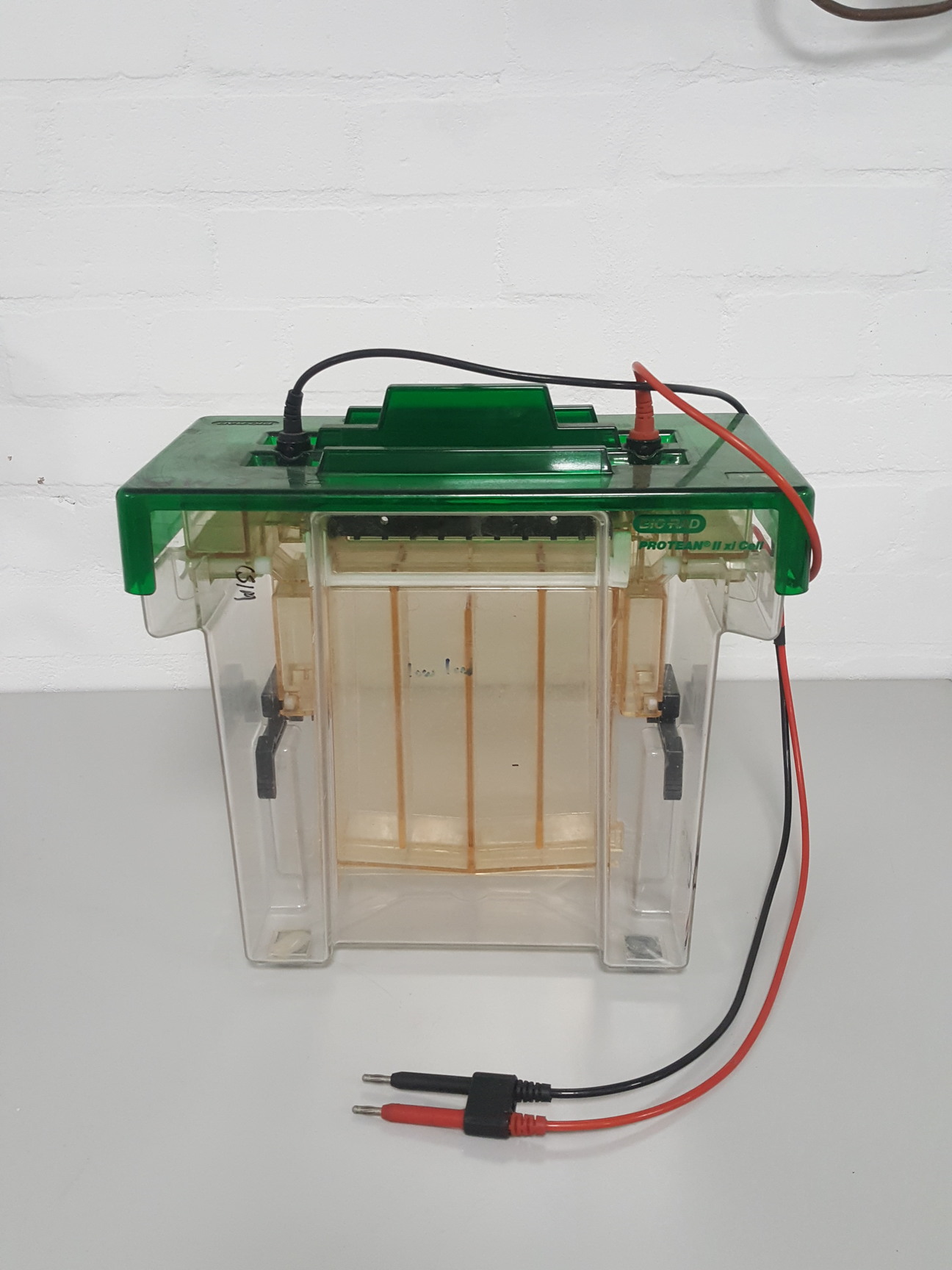 Image of Bio-Rad Protean II XI Gel Electrophoresis Cell Lab