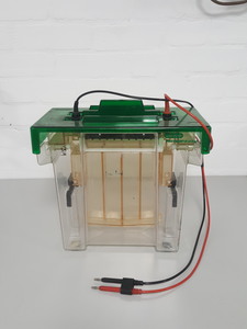 Thumbnail image of Bio-Rad Protean II XI Gel Electrophoresis Cell Lab
